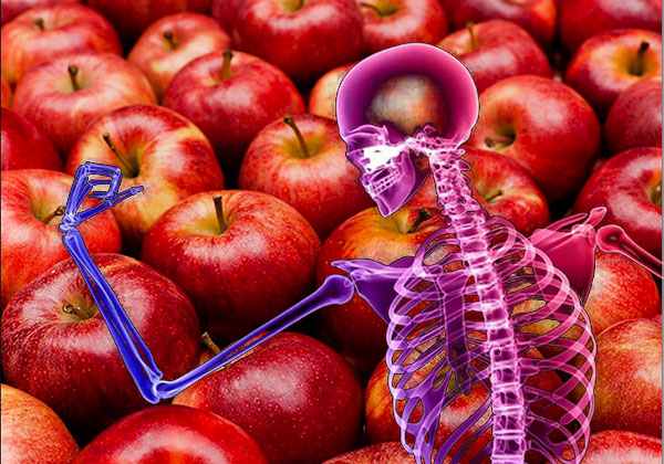 Benefits of Apples for Bones