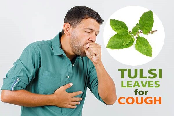 Tulsi Leaves for Cough