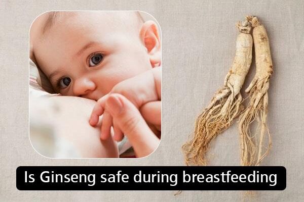 Ginseng and Breastfeeding
