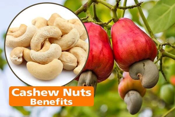 Cashew Nuts Benefits for Male